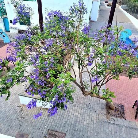 Appartement Margarita Playa Blanca (Lanzarote)