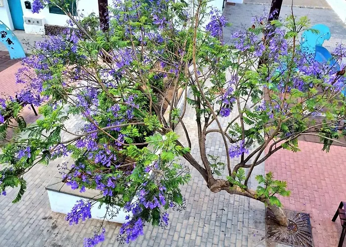 Appartement Margarita Playa Blanca (Lanzarote)